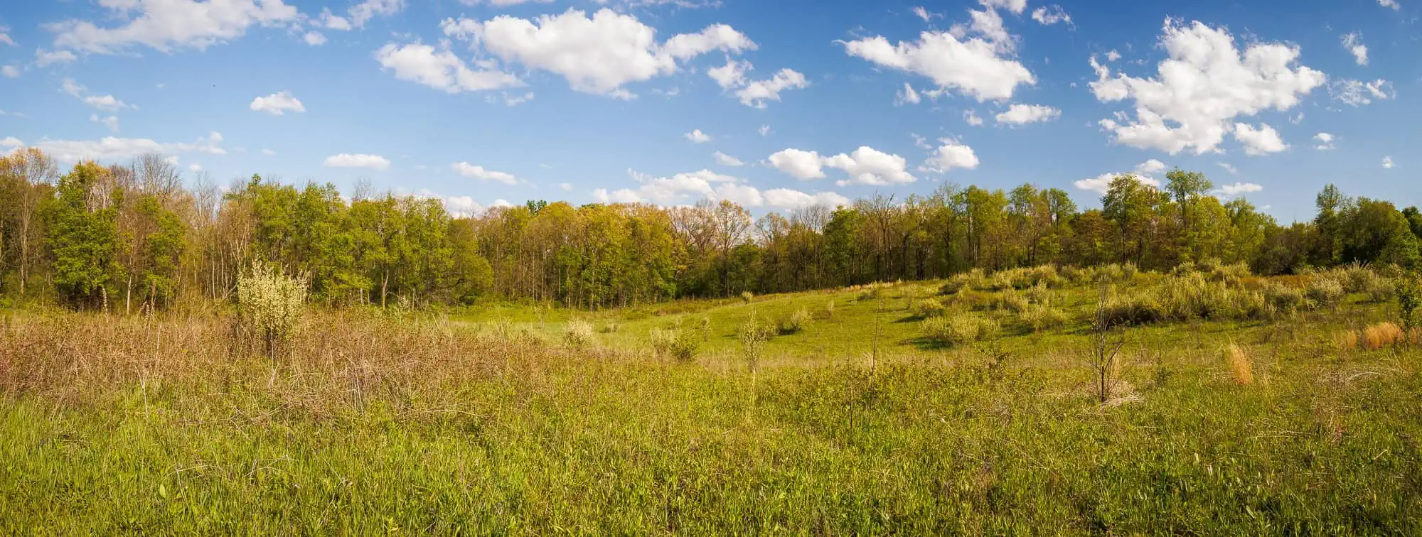Trail 9 Panorama